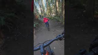 Voodoo Child This is a Blue Trail?