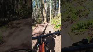 Some bigger drops and jumps, super fun trail.