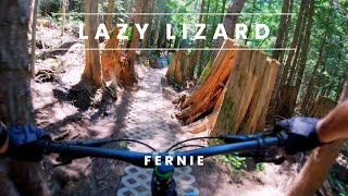 The most beautiful green trail ever!! Lazy Lizard
