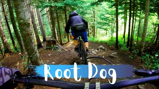 Tech at its Finest! | Root Dog | Sun Peaks...