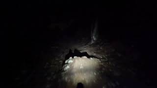 Pickle Surprise day/night lap