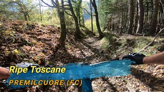 Ripe Toscane,  Premilcuore (FC) 04-11-2024
