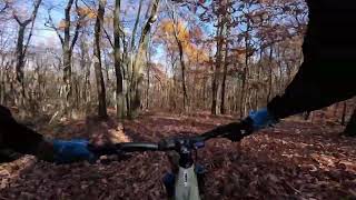Birdsboro - Moe's Path trail