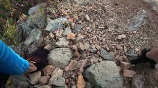 Fisherman Trail MTB Redding California