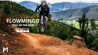 Flowmingo | Mystic Bike Park | GoPRO Trail Of...