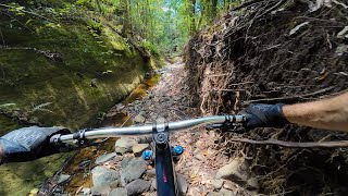 Back on the fav trails!
