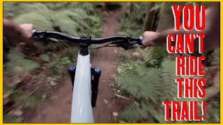 Why is Rotorua's Best MTB Trail… Illegal?
