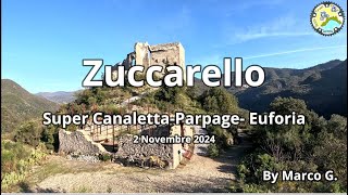 Zuccarello 2024