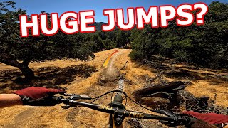 No One Rides These MTB Tails In The Summer, So...