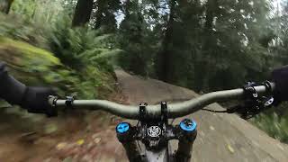 DYFI BIKE PARK: FULL RUN  - BRAND NEW RED