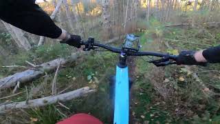 MTB Tecklenburg collection - Bmeise