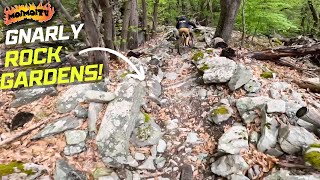 GNARLY ITALIAN ENDURO TRAILS  | Jack Moir |