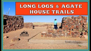 EXPLORE Petrified Forest's Hidden Gems!