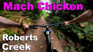 Mach Chicken - Roberts Creek 2024