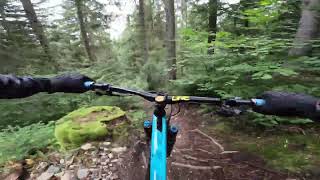 POV de la piste