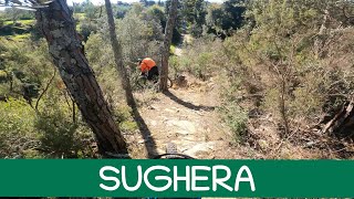 MTB Roveta 16.11.2024 sentiero SUGHERA