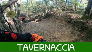 MTB Roveta 16.11.2024 sentiero TAVERNACCIA /...
