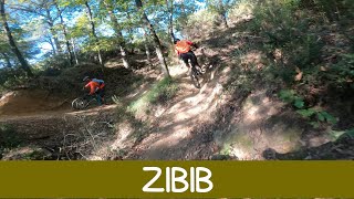 MTB Roveta 16.11.2024 sentiero ZIBIB