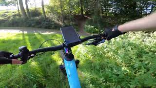 MTB Tecklenburg collection - Stefans Trail...