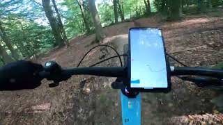 MTB Tecklenburg collection - A Line