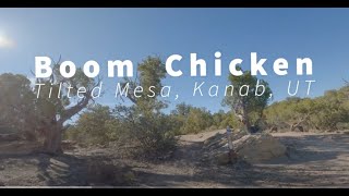 Boom Chicken, Tilted Mesa