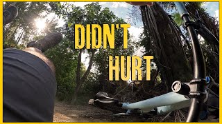 Down But Not Out! 