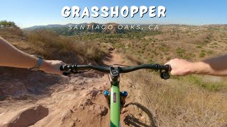 Grasshopper / Santiago Oaks, CA / MTB