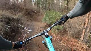 Bear Trap - Everstoke
