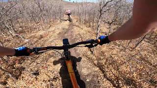 String Beans Trail -- Colorado