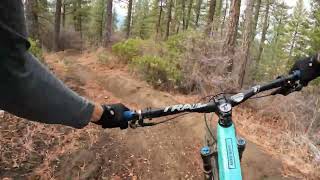 Rough Cut - Everstoke