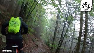 EMTB - Biken in der Pfalz - Lambrecht -...
