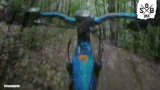 EMTB - Biken in der Pfalz - Kalmit - Haibike...
