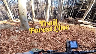 Monte Lema - Forest Line