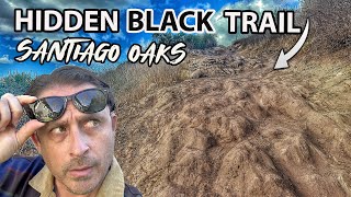 This Trail Is Worth Your Time | Santiago Oaks MTB