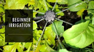 Easy beginner veggie garden irrigation - kit...