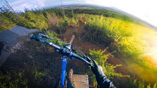 Vancouver Island’s #1 SECRET Trail!