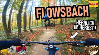 FLOWTRAIL MOSBACH Saison-Abschluss: G'Hupft...