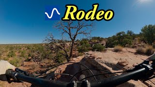 Rodeo