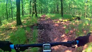 Trail Stromy | Točná | Prague | Czech Republic