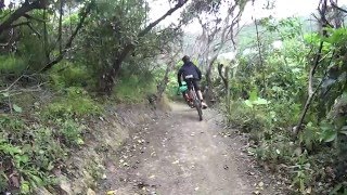 Mountain Biking Repeat Offender Miramar NZ