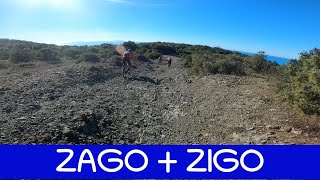 MTB Poggio Pelato Rosignano 23.11.2024...