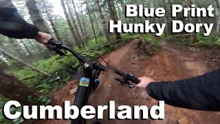 Blueprint - Hunky Dory - Cumberland 2024