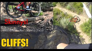 MTB Skinny Lines and Cliffs