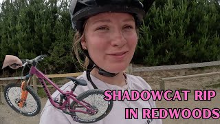 SHADOWCAT RIP IN THE REDWOODS ROTORUA
