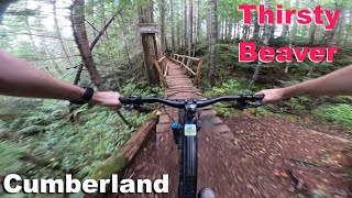 Thirsty Beaver - Cumberland 2024