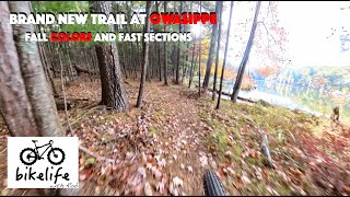 Brand New Trail Segment at Owasippe - Fall...