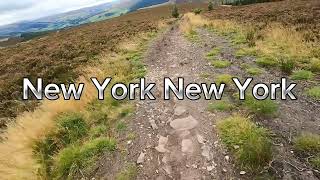 Repeat offender and New York New York. Wow...