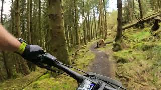 Buzzard Aldrin (Red) - Coolaney MTB Trails