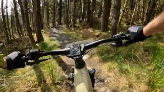 Northwest Express (Blue) - Coolaney MTB Trails
