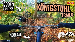 HEIDELBERG Königstuhl: endlich wieder mit dem...